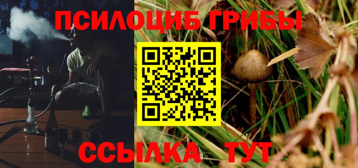 Галлюциногенные грибы GOLDEN TEACHER  наркота  Кострома  Вход с VPN 