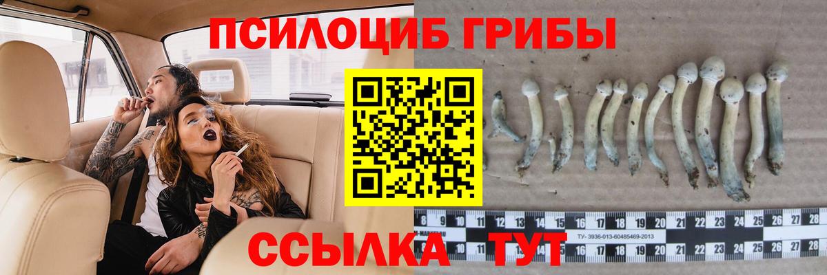 Псилоцибиновые грибы Magic Shrooms Кострома