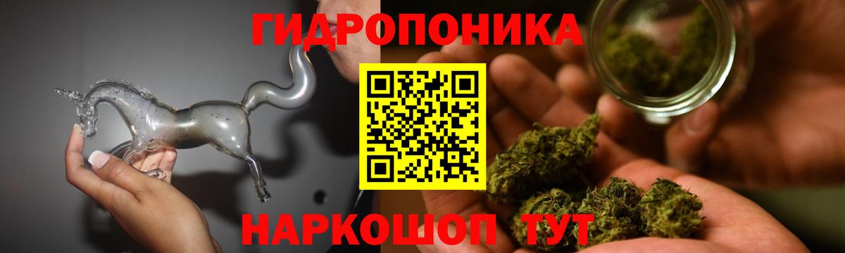 Бошки Шишки планчик Кострома
